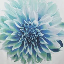 Buy ✔️ Madison Park Quinn Printed Floral Cotton Shower Curtain Aqua ⭐ -Madison Park Sales unnamed file 131