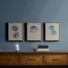 Outlet ❤️ Madison Park Blue Print Botanicals Blue Framed 3 Piece Printed Canvas On Linen ❤️ -Madison Park Sales unnamed file 2117